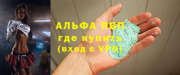 амф Новодвинск