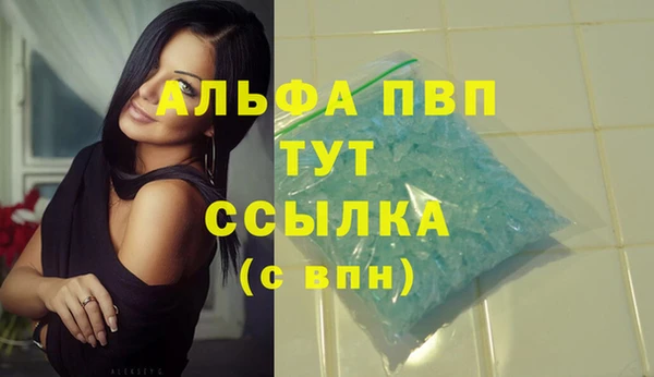 амф Новодвинск