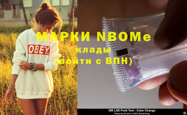 амф Новодвинск