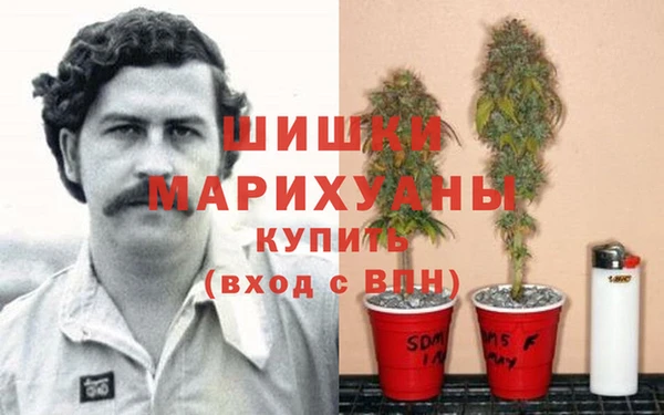 мяу мяу мука Новокубанск