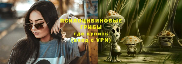 амф Новодвинск