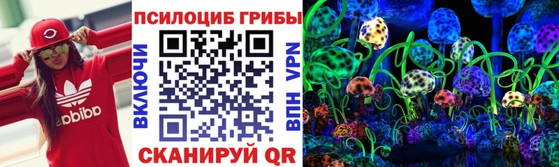 Галлюциногенные грибы GOLDEN TEACHER  Княгинино 